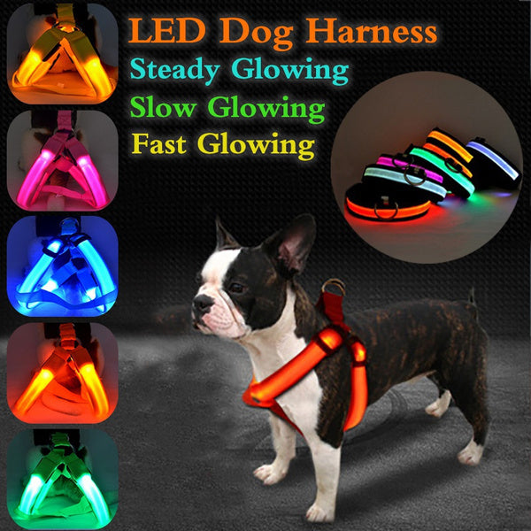 Nylon LED Harness For Pet Safety 